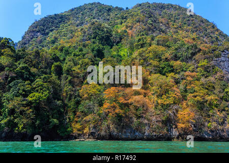 Tropical dense jungle coastline winter colors on a limestone hill, Pang Nga bay, Thailand Stock Photo