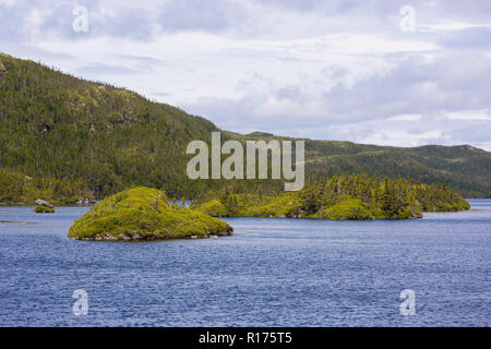 CAPE RANDOM, NEWFOUNDLAND, CANADA - Pond. Stock Photo