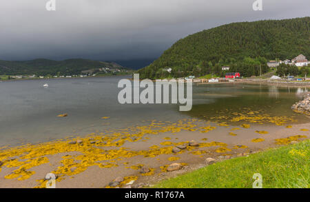 NORRIS POINT, NEWFOUNDLAND, CANADA - Waterfront scene. Stock Photo