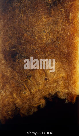 Frothy creamy beer head of draught guinness/dark beer being poured, close up detail Stock Photo