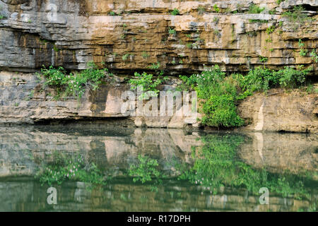 Sandstone bluffs and forest trees along the Buffalo National River in summer, Buffalo National River- Pruitt's Landing, Arkansas, USA Stock Photo