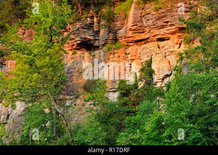 Sandstone bluffs and forest trees along the Buffalo National River in summer, Buffalo National River- Pruitt's Landing, Arkansas, USA Stock Photo