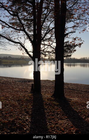 Two trees and their long shadows at sunset over the lake in late autumn Stock Photo