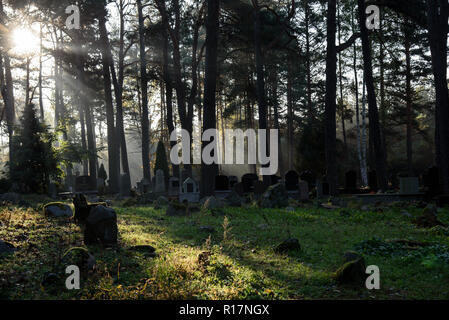 Muslim cemetery, Kruszyniany, burial site, autumn, trees, peace, place of worship, prayer, tombstones Stock Photo