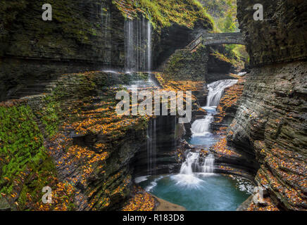 Surrounded by colorful fallen autumn leaves, water plunges and cascades through a rocky gorge at Watkins Glen State Park's Rainbow Falls in the Finger Stock Photo