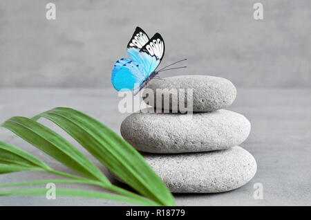 Butterfly, Light and Balanced Stones. Palm Leaf. Zen and Spa Concept Stock Photo