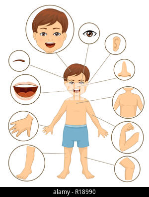 Illustration of a Kid Boy with Different Parts of the Face Isolated ...