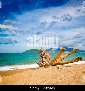 Scenic view of Nha Trang beach at sunny day. Beautiful tropical landscape. Snag on the foreground Stock Photo