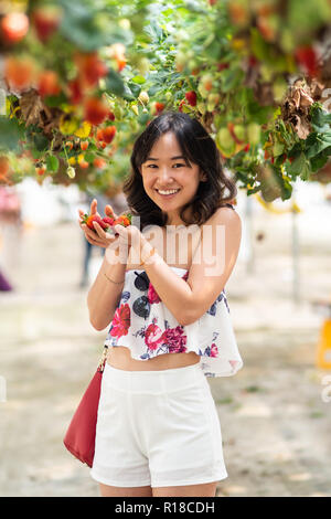 Young woman at a strawberry farm Stock Photo