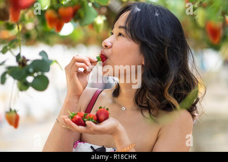 Young woman at a strawberry farm Stock Photo