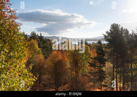 Early Morning View over Loch Kinnord in Autumn Stock Photo