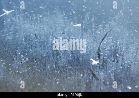 Air bubbles frozen in the water in a bizarre form . Stock Photo