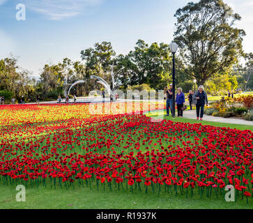 2018 Remembrance Day Poppy Project display of handcrafted poppies in Kings Park Perth Western Australia