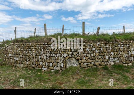 Traditional stone walls along the  Coastal paths    Gwynedd North Wales  Llyn Peninsula Stock Photo
