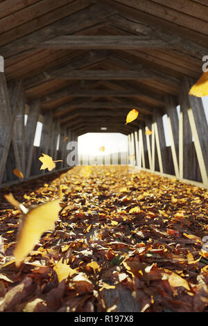 3d rendering of colourful leaves at old covered wooden bridge in the evening sunlight Stock Photo