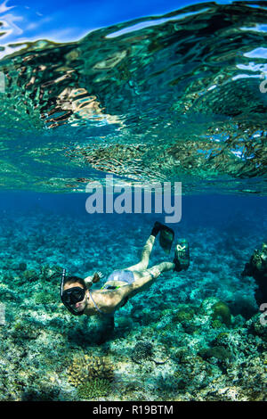 Snorkeling the pristine reefs on the remote Island of Alofi in The French Territory of Wallis and Futuna Islands. Stock Photo