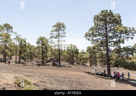 Chio recreation area and campsite (Tenerife island Stock Photo - Alamy
