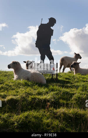 Lest We Forget WW1 memorial surrounded by sheep in Yapton & Barnham, West Sussex Stock Photo