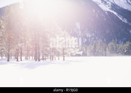 Forest winter landscape in snowy woods. Scenic views mountain sunrise passes through the coniferous forest at dawn. Stock Photo