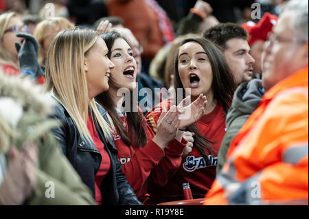 Cardiff, Wales, UK. 10th Nov, 2018. The crowd was animated as Wales went into the lead. Credit: WALvAUS/Alamy Live News Stock Photo