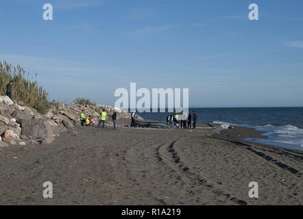 Malaga, MALAGA, Spain. 10th Nov, 2018. Police officers seen inspecting the dinghy after arriving on the beach with a group of migrants.A dinghy with migrants and two dead arrived at the Chilches beach near the coast of Velez MÃ¡laga, in Malaga. According to the media and witnesses, some of the migrants from Morocco escaped at the beach while the two corpses were found inside the small boat. Credit: Jesus Merida/SOPA Images/ZUMA Wire/Alamy Live News Stock Photo