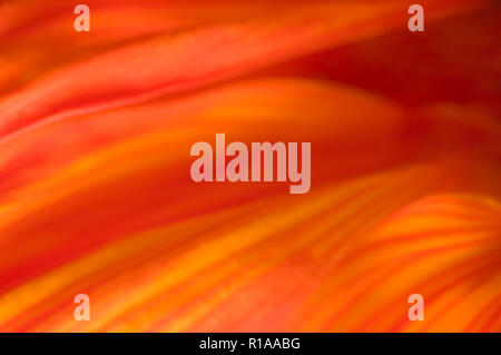 Abstract warm background of red, orange and yellow tones. Stock Photo