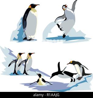 A set of realistic imperial penguins in different poses. Adult birds and chicks. Stock Vector