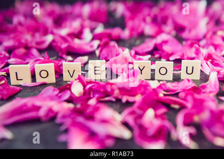 Message I love you spelled in wooden blocks with roses in background Stock Photo