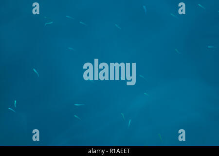 Clear azure water texture background Stock Photo