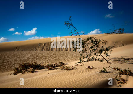 Dramatic beautiful interesting sky in evening light over the dunes in the Natural park of Corralejo,Fuerteventura,Las Palmas,Canary islands,Spain. Stock Photo