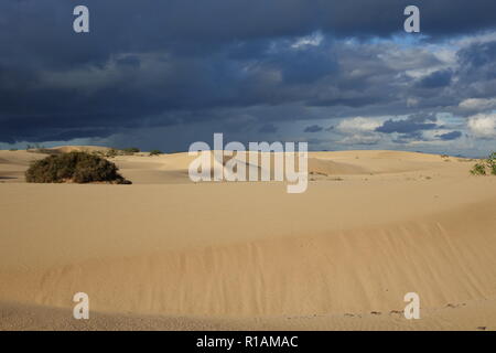 Dramatic beautiful interesting sky in evening light over the dunes in the Natural park of Corralejo,Fuerteventura,Las Palmas,Canary islands,Spain. Stock Photo