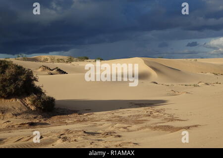 Dramatic beautiful interesting sky in evening light over the dunes in the Natural park of Corralejo,Fuerteventura,Las Palmas,Canary islands,Spain. Stock Photo