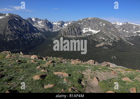 The Forest Canyon is a subapline forest, shot from just off of the Trail Ridge Road in Rocky Mountain National Park, Colorado.  The mountain peaks in  Stock Photo