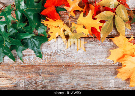 Colorful autumn leaves border frame on painted rustic barn wood blanks background. Empty space for text Stock Photo