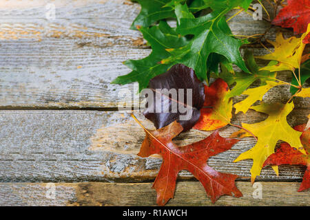 Autumn frame for fallen dry leaves of yellow, red, orange, laid out on the left side of the frame on an old wooden board Stock Photo