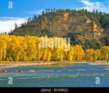 fall colors and cliffs along the yellowstone river near park city, montana Stock Photo