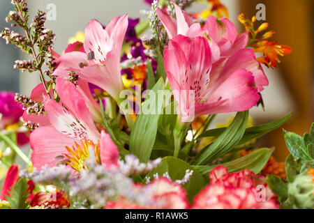 Close up view of beautiful pink Peruvian lily flowers in an indoor floral arrangement Stock Photo