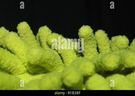 Microfiber Stock Photo