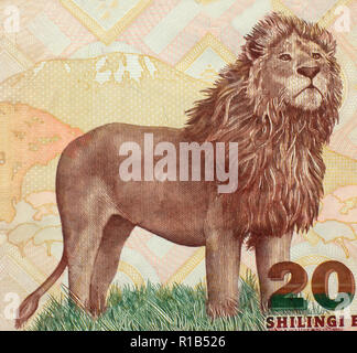 African lion on Tanzanian banknote close-up Stock Photo