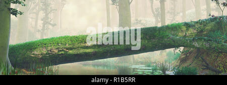 fallen tree, natural bridge in magical forest, beautiful fantasy forest landscape Stock Photo