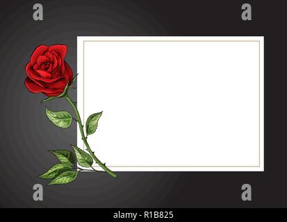 Rose single flower on white background with black border vector template Stock Vector