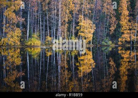 Beautiful water reflection view with fall colors and lake at autumn day in Finland. Stock Photo