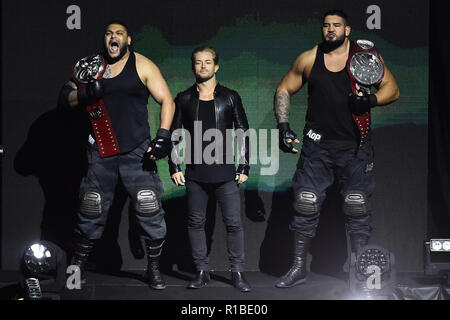 Rome, Italy. 11th Nov, 2018. Show WWE live at the Palalottomatica-Rome 10-11-2018 In the picture The AOP Photo Photographer01 Credit: Independent Photo Agency/Alamy Live News Stock Photo