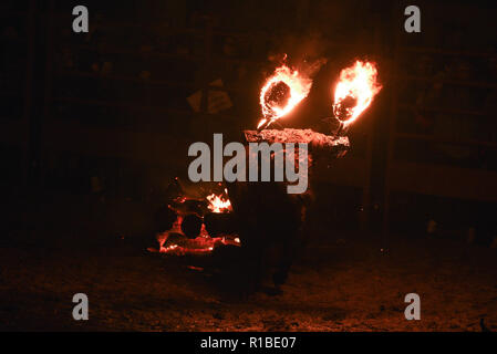 Medinaceli, Spain. 11th Nov, 2018. A fire bull stands on the arena during the 'Toro de Jubilo' Fire Bull Festival in Medinaceli. 'Toro de Jubilo' is an ancient tradition from the bronze age held annually at midnight in the Spanish town of Medinaceli. During the event a bull, which is covered with a thick layer of mud on the back and face to protect it from burns, is tied to a pylon and set on fire before the animal released. After, revelers dodge the bull when it comes close until the flammable material is consumed. Credit: John Milner/SOPA Images/ZUMA Wire/Alamy Live News Stock Photo