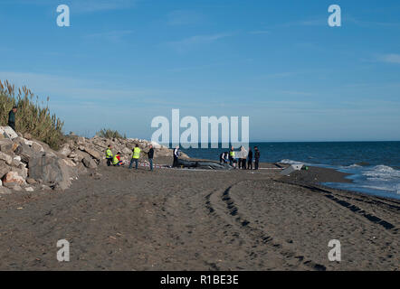 Police officers seen inspecting the dinghy after arriving on the beach with a group of migrants. A dinghy with migrants and two dead arrived at the Chilches beach near the coast of Velez Málaga, in Malaga. According to the media and witnesses, some of the migrants from Morocco escaped at the beach while the two corpses were found inside the small boat. Stock Photo