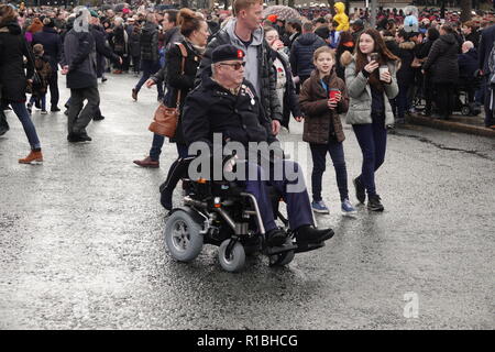 Liverpool, UK. 11th November 2018. An ex serviceman in his wheelchair at The Annual Service of Remembrance and Dedication at St Georges Hall Liverpool on Sunday 11th November 2018. Credit: Ken Biggs/Alamy Live News. Stock Photo