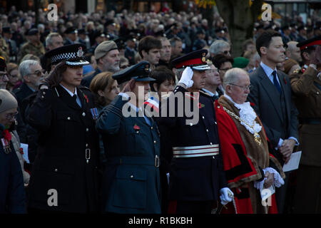 Cheltenham, UK. 11th Nov, 2018. Soldiers saluting Credit: Victor Storublev/Alamy Live News Stock Photo