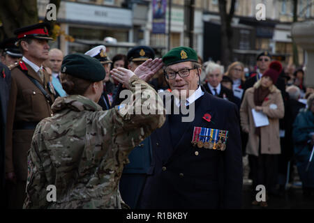 Cheltenham, UK. 11th Nov, 2018. Soldiers saluting Credit: Victor Storublev/Alamy Live News Stock Photo