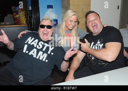 NEW YORK, NY - NOVEMBER 10: Brian Knobbs, Abdullah the Butcher, Jerry Sags and Norman Smiley attend the Big event 15 at the Laguardia Plaza Hotel in New York on November 10. Credit George Napolitano/MediaPunchNEW YORK, NY - NOVEMBER 10: Brian Knobbs, Sunny and Jerry Sags attend the Big event 15 at the Laguardia Plaza Hotel in New York on November 10. Credit George Napolitano/MediaPunch Stock Photo