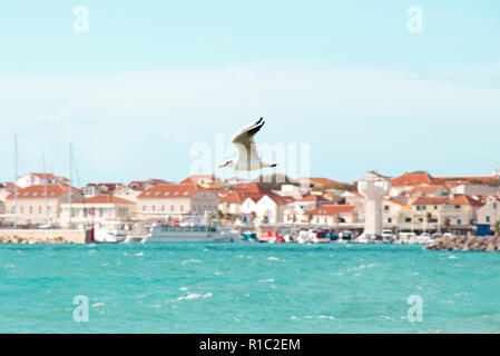 One seagull flying above the wavy sea on a sunny day in Vodice, Croatia Stock Photo